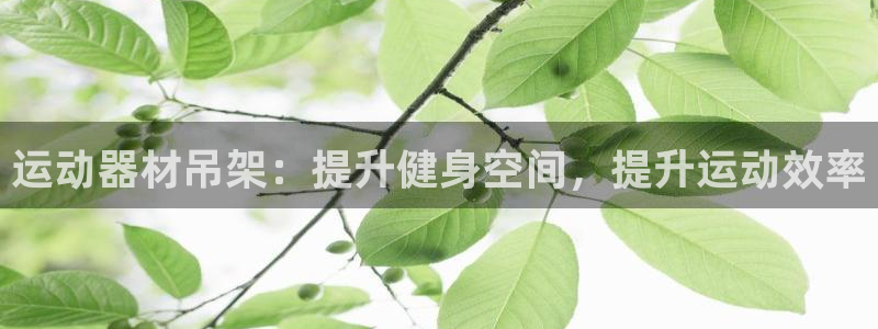 意昂3集团：运动器材吊架：提升健身空间，提升运动效率