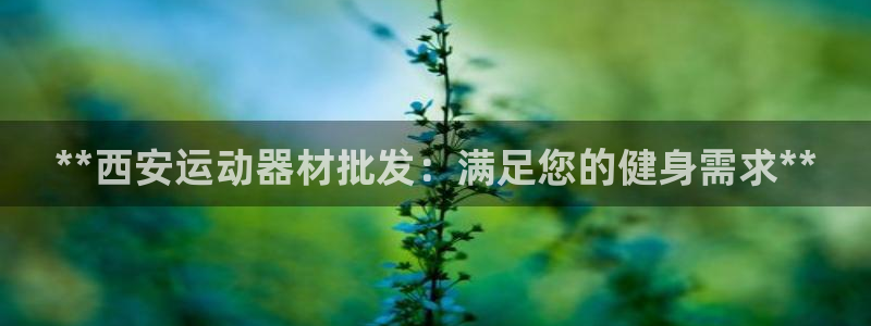 意昂体育3平台注册流程视频：**西安运动器材批发：满