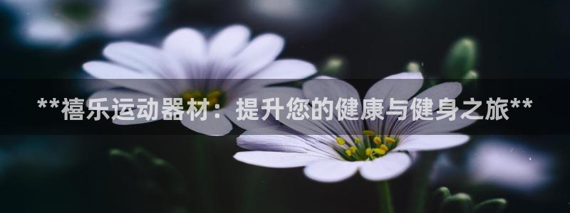 意昂3官网：**禧乐运动器材：提升您的健康与健身之旅