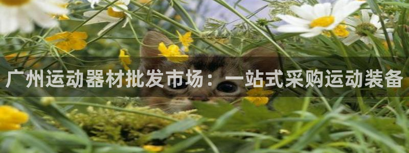 意昂3娱乐40996：广州运动器材批发市场：一站式采