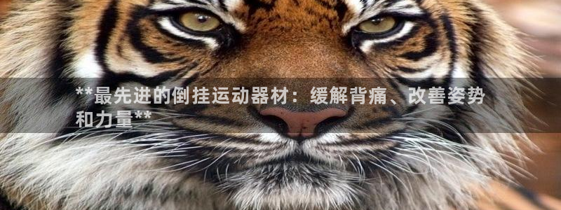意昂3科技：**最先进的倒挂运动器材：缓解背痛、改善