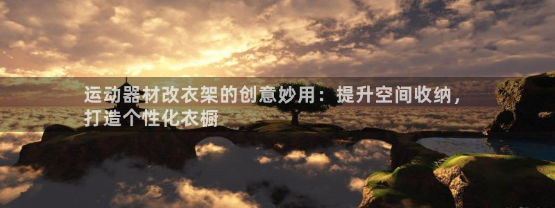 意昂3科技：运动器材改衣架的创意妙用：提升空间收纳，