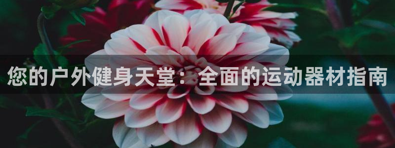意昂体育3注册：您的户外健身天堂：全面的运动器材指南