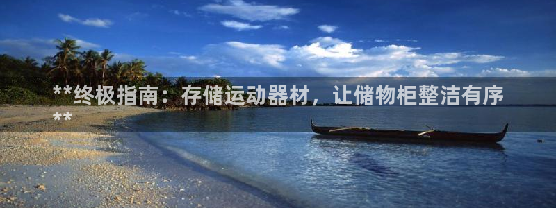 意昂3娱乐代理怎么样：**终极指南：存储运动器材，让
