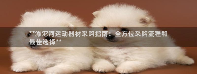意昂3新能源：**滹沱河运动器材采购指南：全方位采购