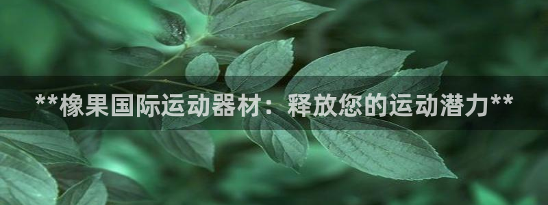 意昂体育3联系电话：**橡果国际运动器材：释放您的运