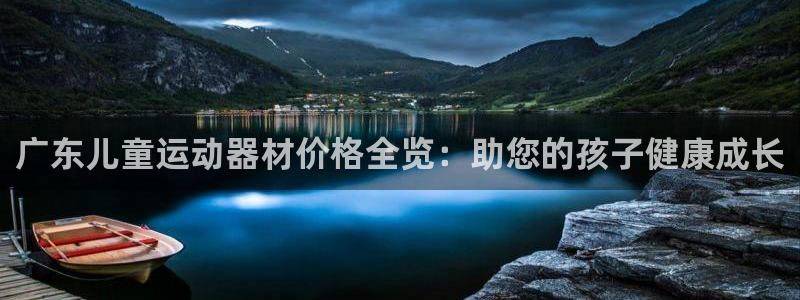 意昂3神州：广东儿童运动器材价格全览：助您的孩子健康