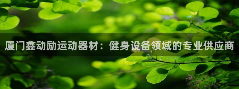 意昂3集团logo：厦门鑫动励运动器材：健身设备领域