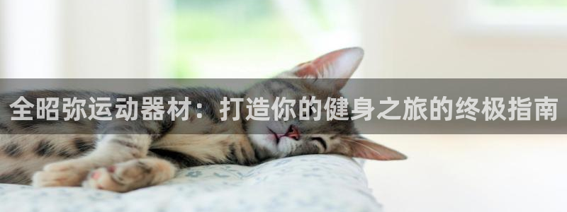 意昂体育3开户：全昭弥运动器材：打造你的健身之旅的终
