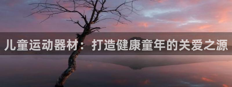 意昂体育3招商电话号码：儿童运动器材：打造健康童年的