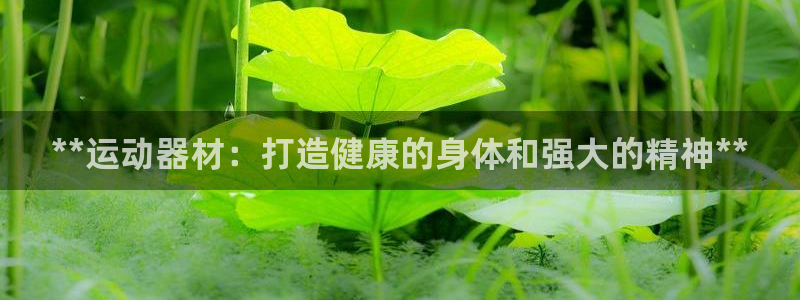 意昂体育3平台APP：**运动器材：打造健康的身体和