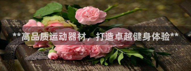 意昂3科技：**高品质运动器材，打造卓越健身体验**