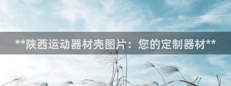 海南意昂体育3发展怎么样：**陕西运动器材壳图片：您