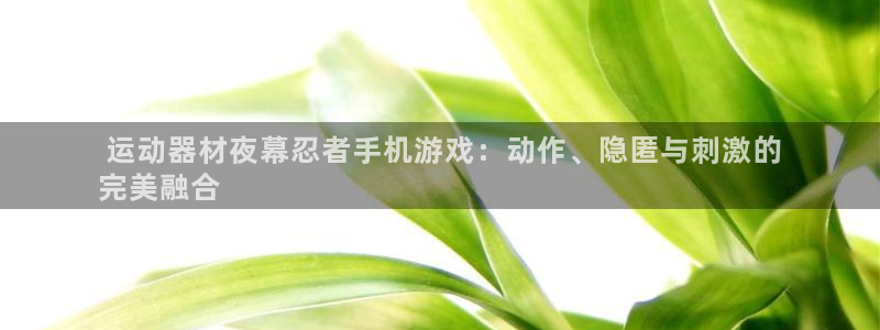 意昂3开户： 运动器材夜幕忍者手机游戏：动作、隐匿与