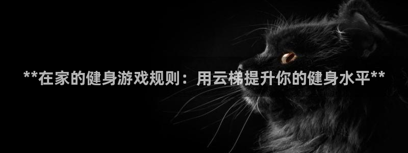 意昂体育3平台注册：**在家的健身游戏规则：用云梯提