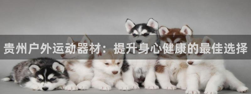 意昂体育3平台是正规平台吗：贵州户外运动器材：提升身
