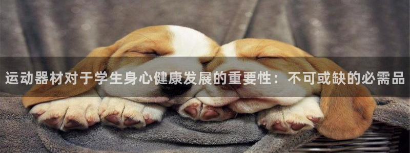 意昂3娱乐是那个系列的台子：运动器材对于学生身心健康