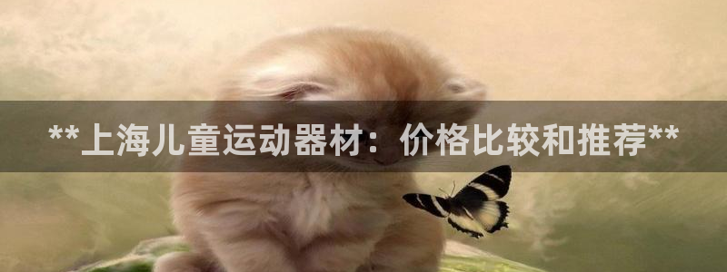 意昂体育3招商电话号码是多少：**上海儿童运动器材：