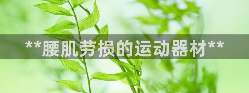 意昂体育3招商电话号码：**腰肌劳损的运动器材**