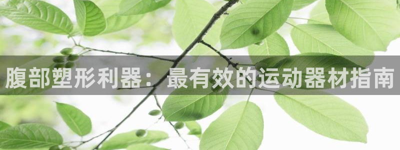 意昂3集团简介：腹部塑形利器：最有效的运动器材指南