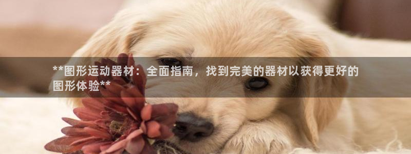 意昂体育3招商电话地址：**图形运动器材：全面指南，