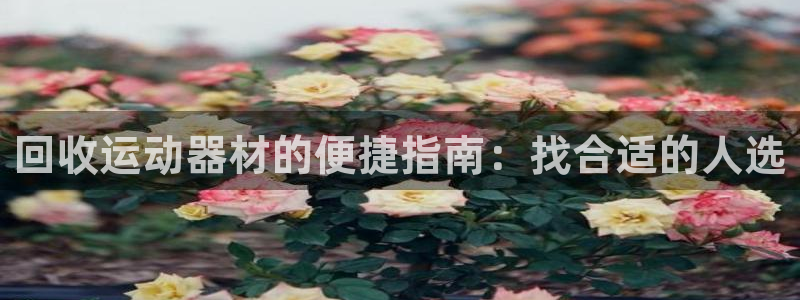 意昂体育3平台注册流程图：回收运动器材的便捷指南：找