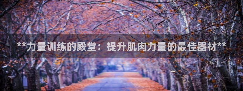 意昂3科技：**力量训练的殿堂：提升肌肉力量的最佳器