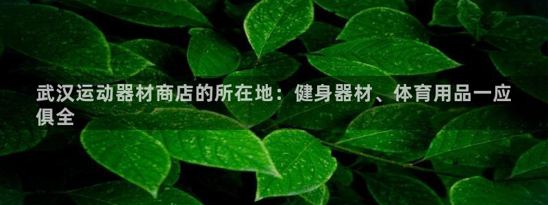 意昂3集团E.ON：武汉运动器材商店的所在地：健身器