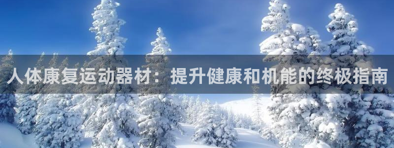 意昂3五金厂：人体康复运动器材：提升健康和机能的终极
