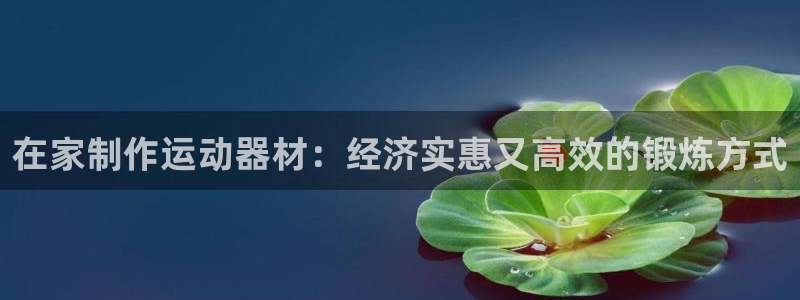 意昂3娱乐网站：在家制作运动器材：经济实惠又高效的锻