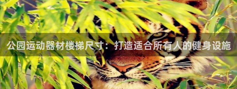 意昂体育3招商电话是多少啊：公园运动器材楼梯尺寸：打