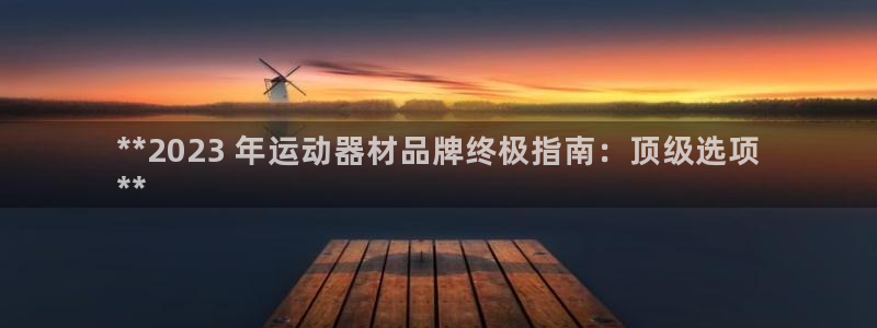 意昂3神州：**2023 年运动器材品牌终极指南：顶