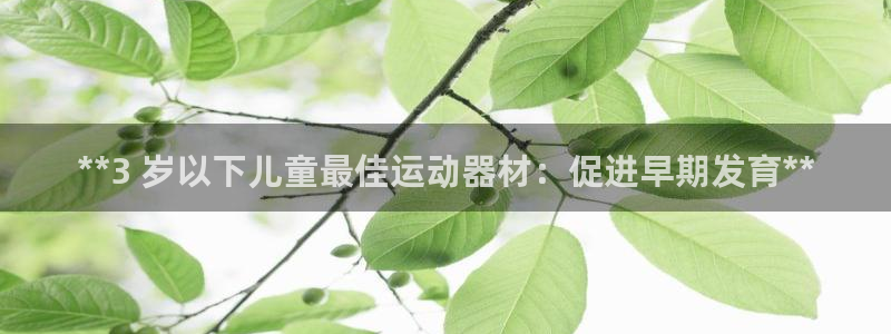 意昂体育3平台APP：**3 岁以下儿童最佳运动器材