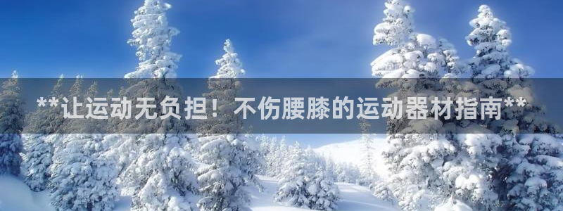 意昂3五金厂：**让运动无负担！不伤腰膝的运动器材指