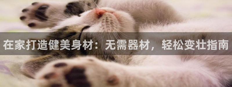 意昂3娱乐是那个系列的台子：在家打造健美身材：无需器
