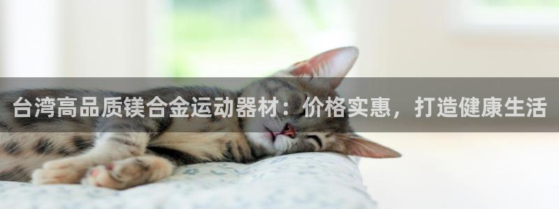意昂平台体育：台湾高品质镁合金运动器材：价格实惠，打