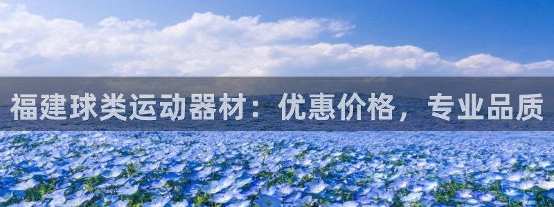 意昂体育3联系电话：福建球类运动器材：优惠价格，专业