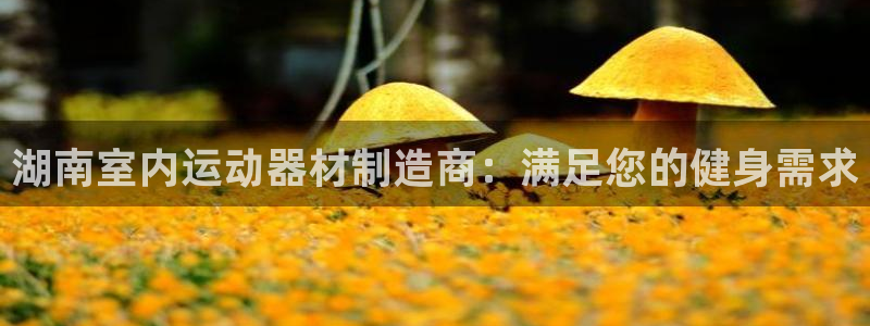 意昂体育3平台注册流程视频：湖南室内运动器材制造商：