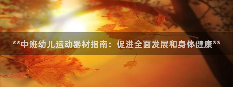 意昂体育3招商电话是多少啊：**中班幼儿运动器材指南