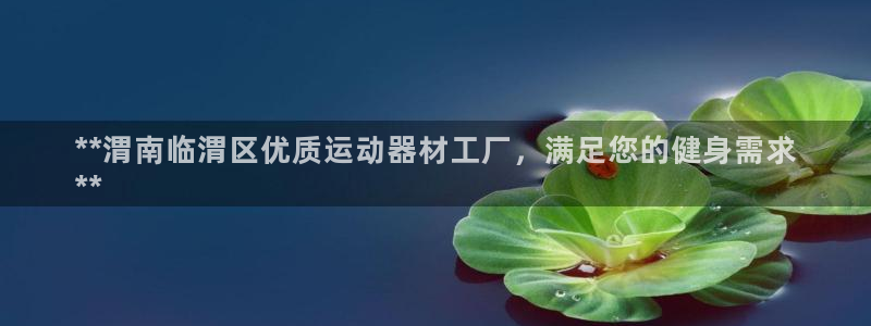 意昂3娱乐下载：**渭南临渭区优质运动器材工厂，满足
