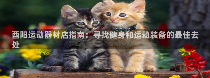 意昂体育3平台注册：酉阳运动器材店指南：寻找健身和运