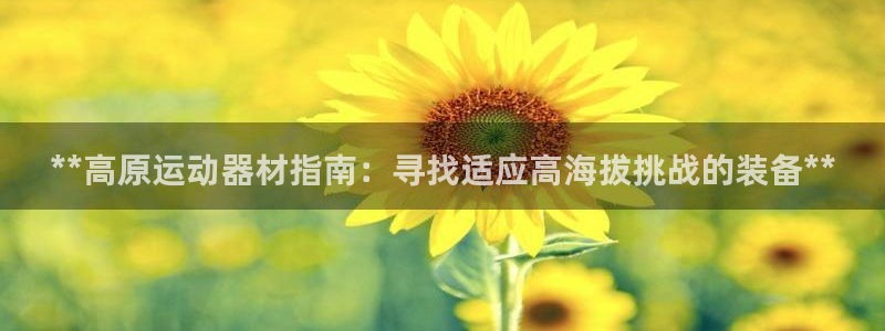 意昂3集团官网首页：**高原运动器材指南：寻找适应高