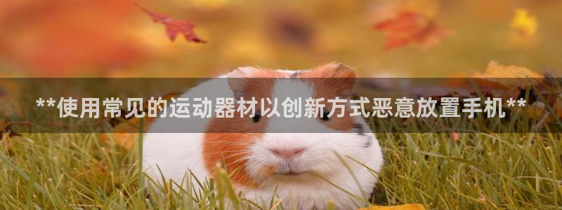 意昂3集团logo：**使用常见的运动器材以创新方式