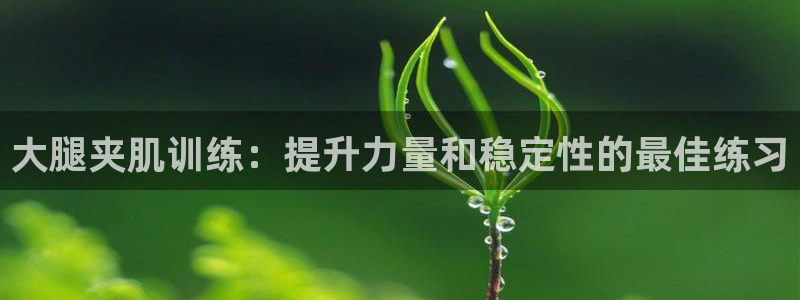 意昂体育3注册：大腿夹肌训练：提升力量和稳定性的最佳