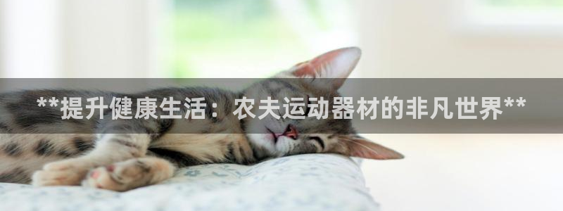 意昂3娱乐网站：**提升健康生活：农夫运动器材的非凡