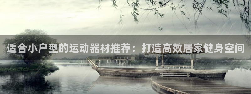注册意昂3：适合小户型的运动器材推荐：打造高效居家健