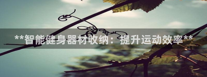 意昂3官方：**智能健身器材收纳：提升运动效率**