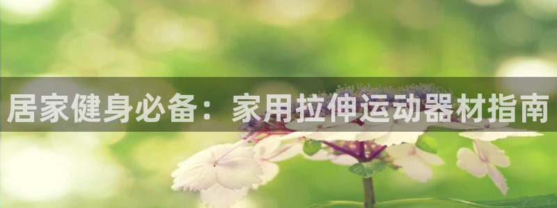 意昂3开户：居家健身必备：家用拉伸运动器材指南
