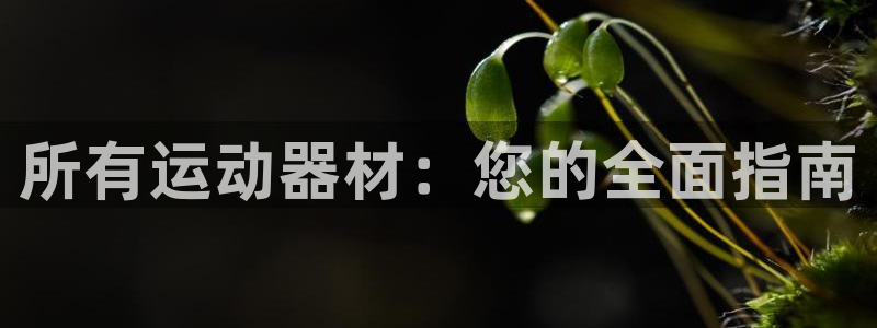 意昂体育3是干嘛的公司
