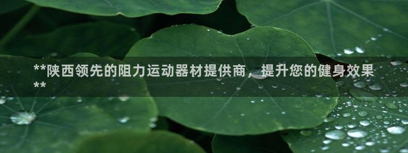 意昂3娱乐平台：**陕西领先的阻力运动器材提供商，提升您的健